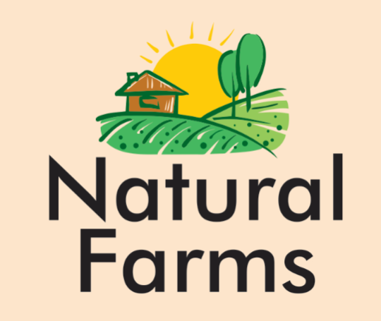 brand-logo